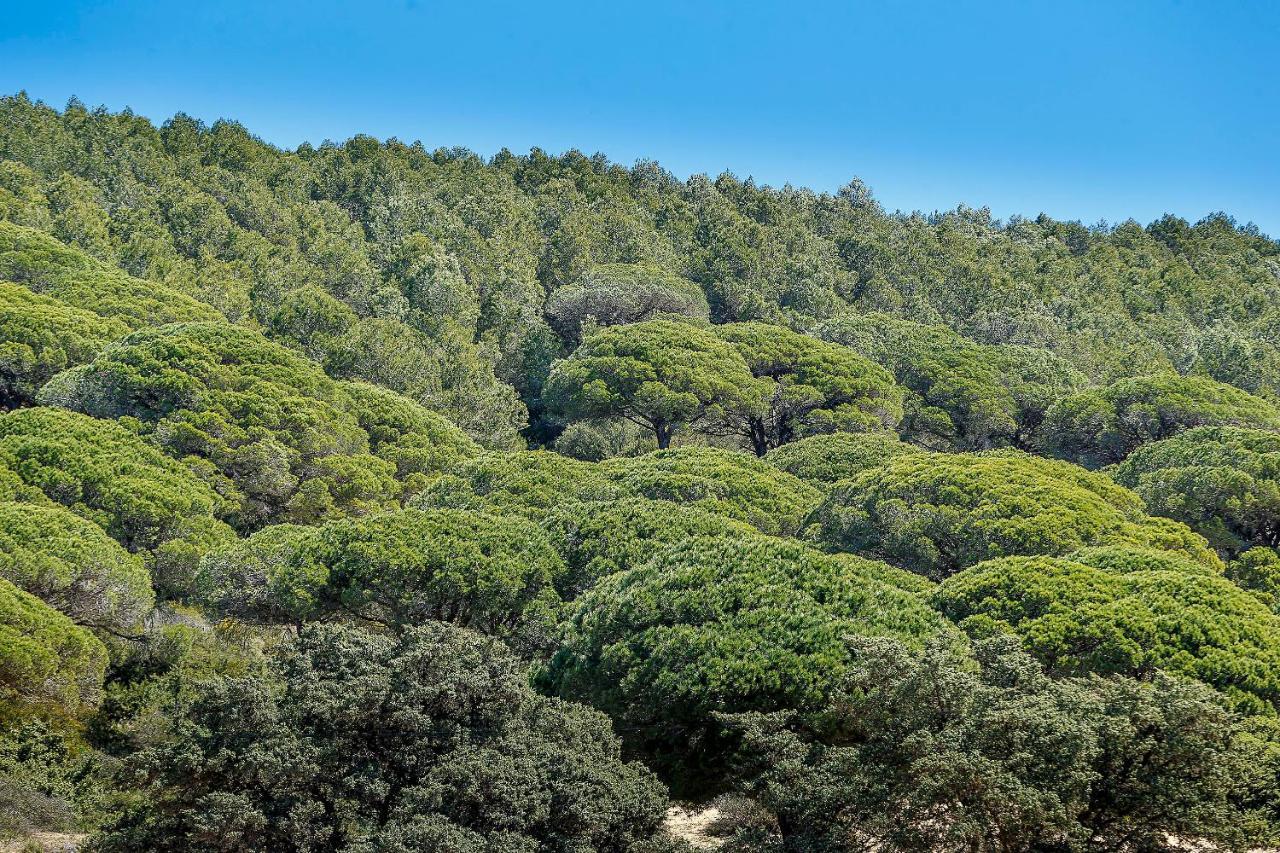 Labrena Hotel Los Canos De Meca Εξωτερικό φωτογραφία